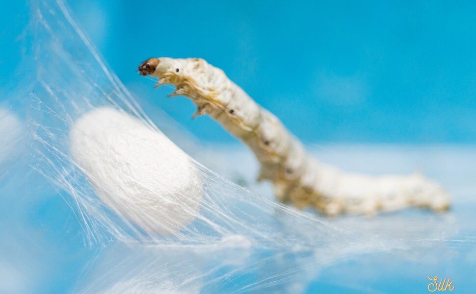 2 Pairs Extra fine Merino Wool with Silk Soft Socks - Unisex Socks